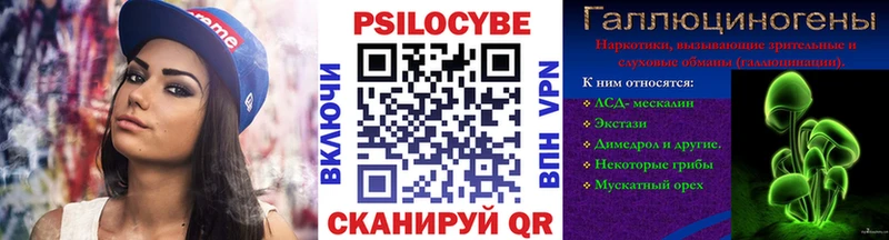 Псилоцибиновые грибы Psilocybe  Воркута 