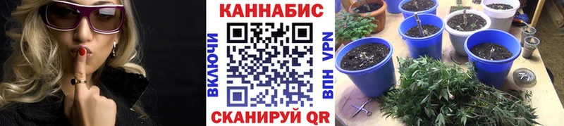 наркошоп Воркута Шишки марихуана план